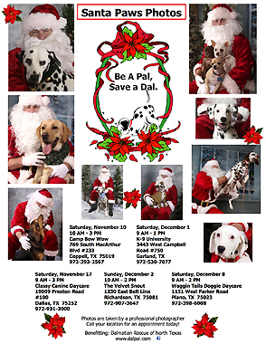 Make Your Reservations Now For Santa Paws Pets Pictures At Unleashed